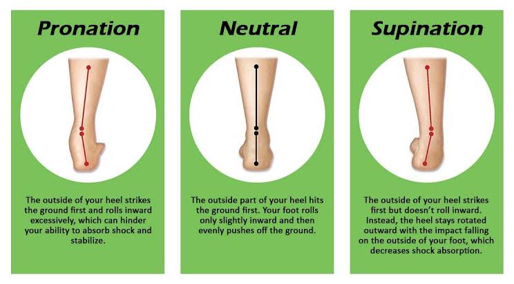 Bespoke Orthotics Warners Bay